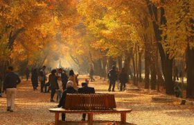 چهارباغ بی باغ مشتری ندارد