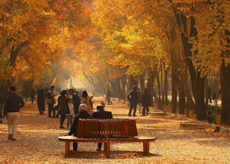 چهارباغ بی باغ مشتری ندارد