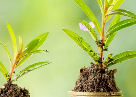 Hot topic of stock market