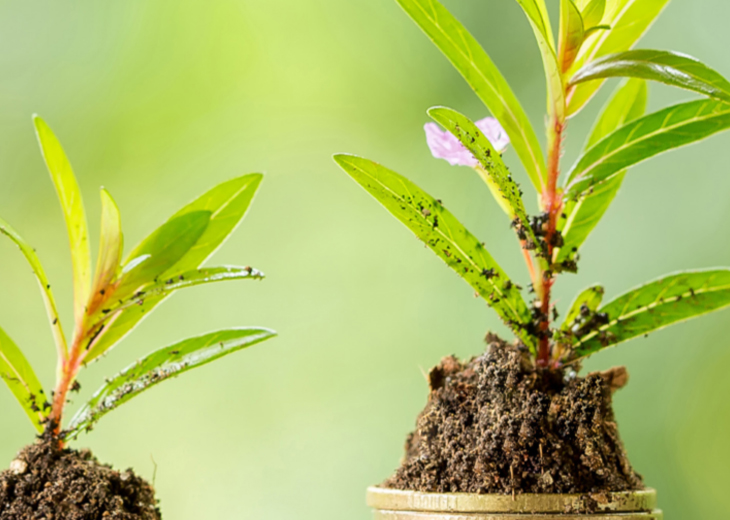 Hot topic of stock market