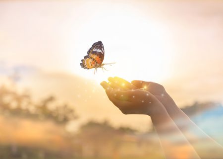 ۲۶ راهکار شگفت انگیز برای شروع یک تغییر بزرگ در زندگی