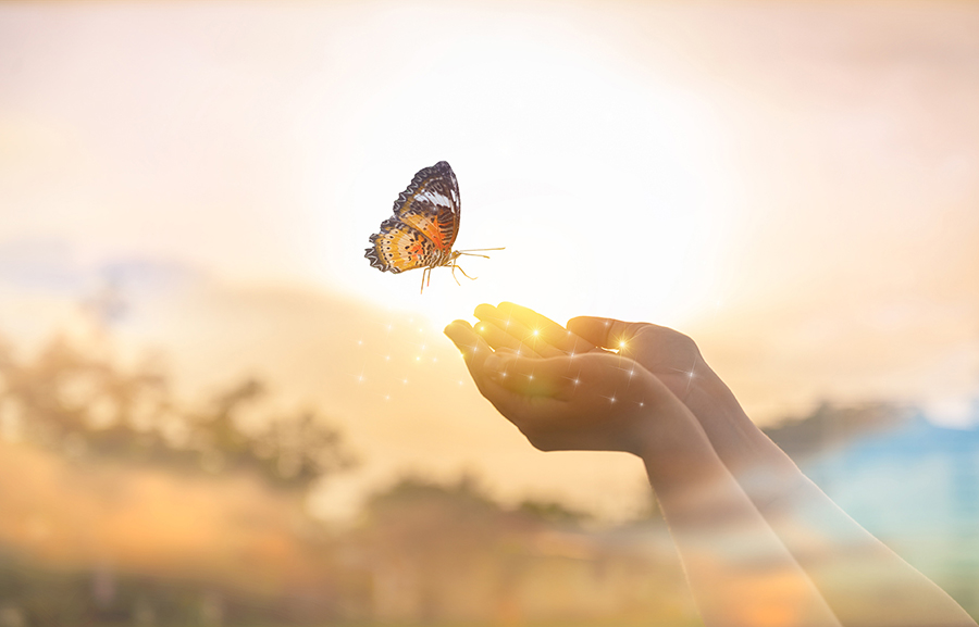 ۲۶ راهکار شگفت انگیز برای شروع یک تغییر بزرگ در زندگی