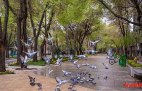 یک اتفاق دلگرم کننده