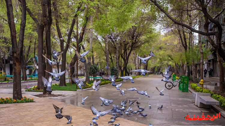 یک اتفاق دلگرم کننده