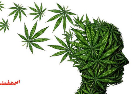 گلی که گل هایمان را می خشکاند