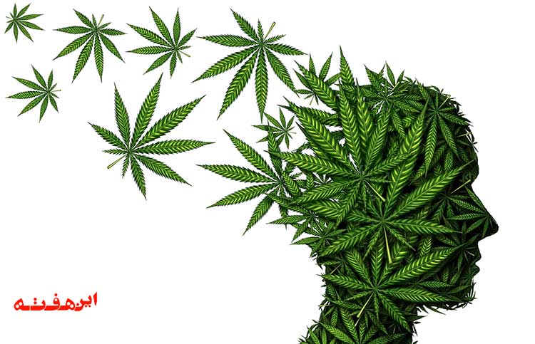 گلی که گل هایمان را می خشکاند