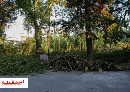 مرگ تدريجی يك شهر