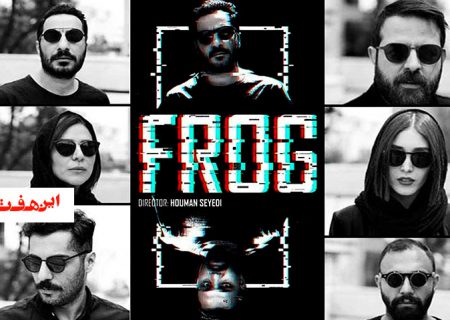 قورباغه سیدی حاشیه می زاید