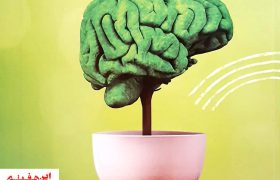 توسعه  جامعه با تربیت انسان های توسعه یافته