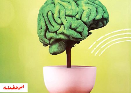 توسعه  جامعه با تربیت انسان های توسعه یافته