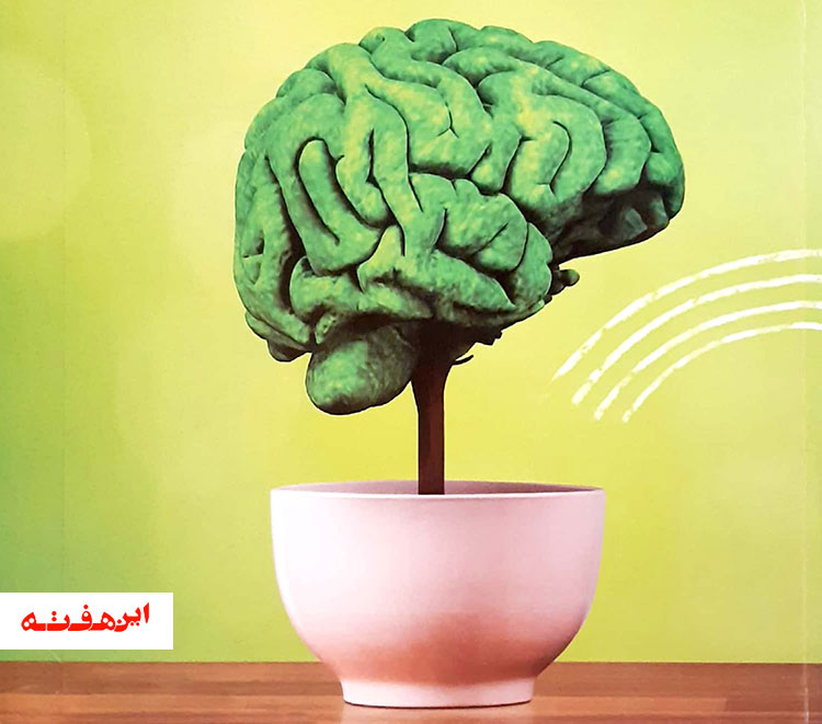 توسعه جامعه با تربیت انسان های توسعه یافته