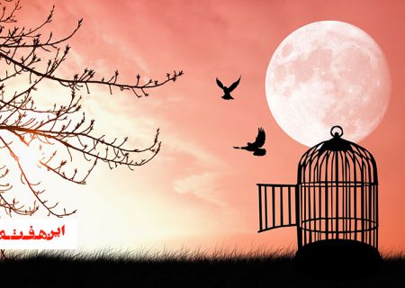 ۹ زندانی جرایم غیرعمد با کمک خیران آران و بیدگل آزاد شدند