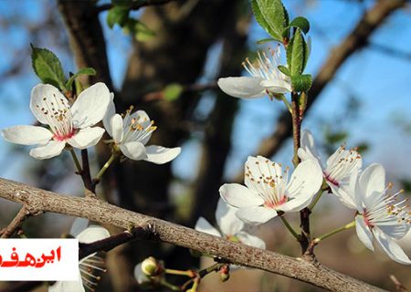 ما هستیم که به زندگی معنا می دهیم