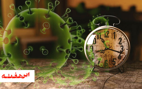 سالی که گذشت