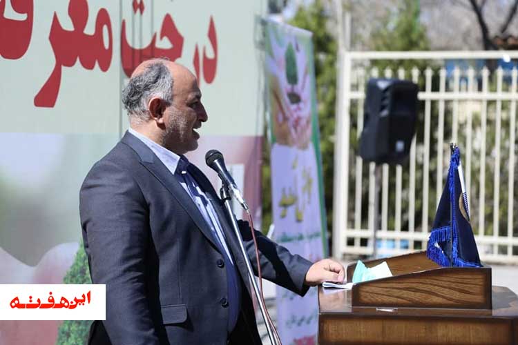 آیین درختکاری”درخت معرفت” برگزار شد