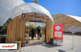 گیاهان گرمسیری