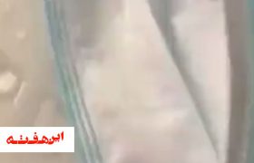 ماجرای دیده شدن کرم در ماسک ها چه بود