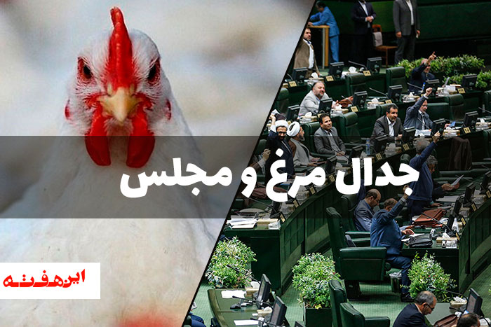 جدال مرغ و مجلس