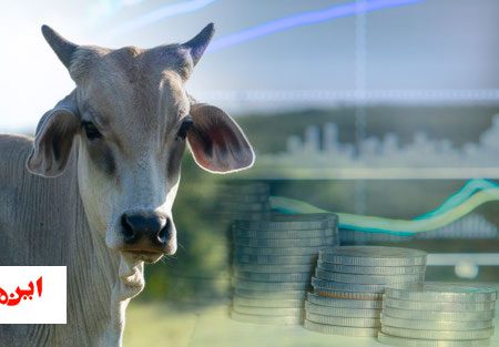 اقتصاد گاوی