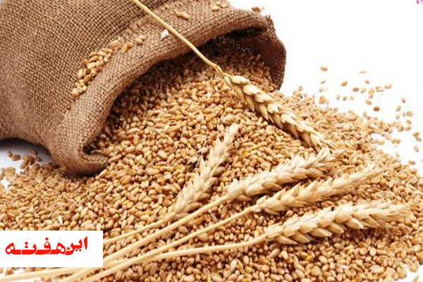 زکات امر الهی و واجب فراموش شده امروز