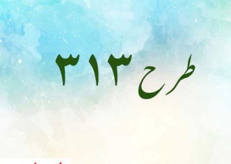 طرح ۳۱۳ در سال جاری اجرا می شود